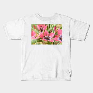 Tulipa  &#39;Little Beauty&#39;  AGM  Tulip  Miscellaneous tulip Kids T-Shirt